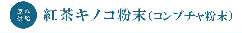 紅茶キノコ粉末 コンブチャ粉末  原料供給